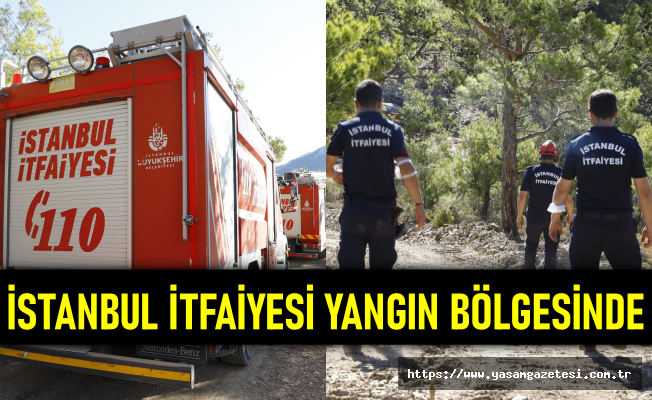 İstanbul İtfaiyesi yangın bölgesinde