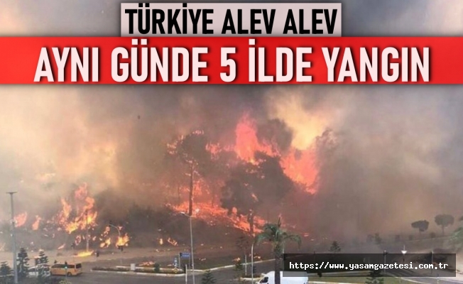 Türkiye alev alev! Aynı günde 5 orman yangını