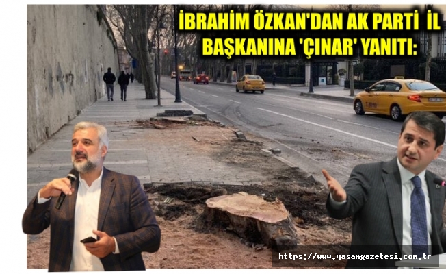 İbrahim Özkan'dan AK Parti İstanbul İl Başkanına 'Çınar' Yanıtı: