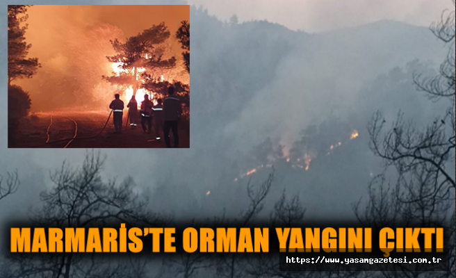 Marmaris’te orman yangını çıktı